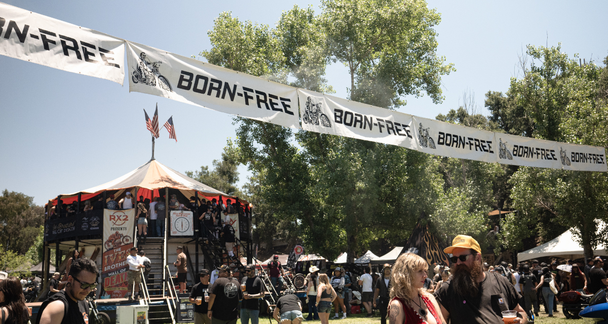 Born-Free2024